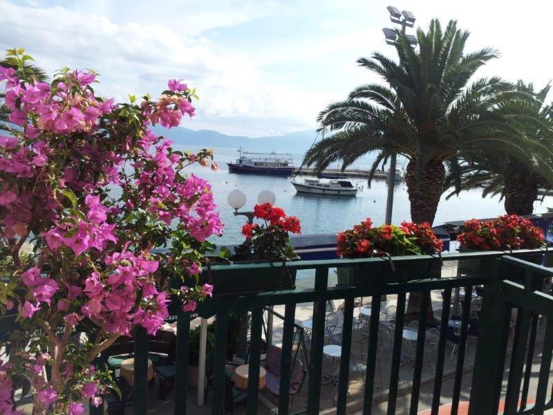 Apartman Iris Gradac  Buitenkant foto